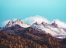 世界杯官方app下载-中超大牌外援掀告别潮 新政下本土球员再吃香？