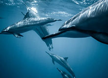 世界杯数据全览-于汉超三战两获MVP称雄亚冠：每个人都值得尊敬