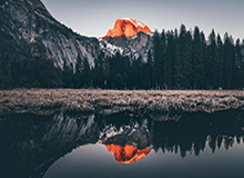 世界杯数据全览-马拉多纳初步死因报告：急性心力衰竭